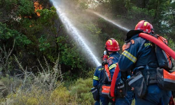 Ακραίος κίνδυνος πυρκαγιάς – Κατάσταση Συναγερμού: Σε πλήρη επιχειρησιακή ετοιμότητα το Πυροσβεστικό Σώμα για το Σάββατο 1 Αυγούστου