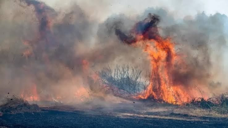 Κορινθία – Προσοχή! Πολύ υψηλός κίνδυνος πυρκαγιάς αύριο, Πέμπτη 30 Ιουλίου
