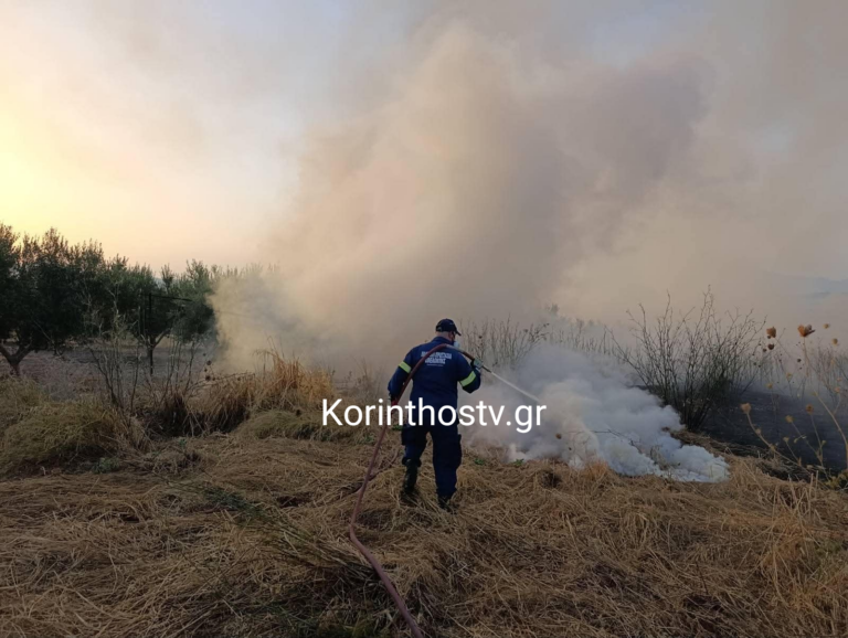 Κορινθία: Σε ισχύ σήμερα η απαγόρευση κυκλοφορίας σε δάση και περιοχές Natura – Αυξημένη προσοχή λόγω κινδύνου πυρκαγιάς