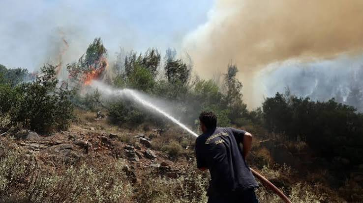 Άγιοι Θεόδωροι: Φωτιά σε ξερά χόρτα στην περιοχή Πευκάκι