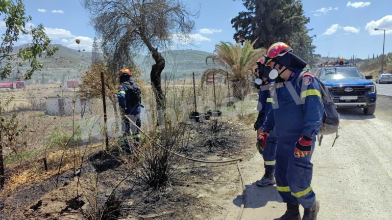 Κορινθία: Υψηλός Κίνδυνος Πυρκαγιάς την Παρασκευή 11/9 - Εφαρμογή του μέτρου απαγόρευσης της κυκλοφορίας