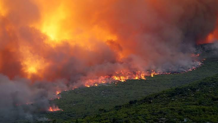 Μεγάλη φωτιά στην Εύβοια – Καίγεται πευκοδάσος, μήνυμα 112 για απομάκρυνση από την Τριάδα