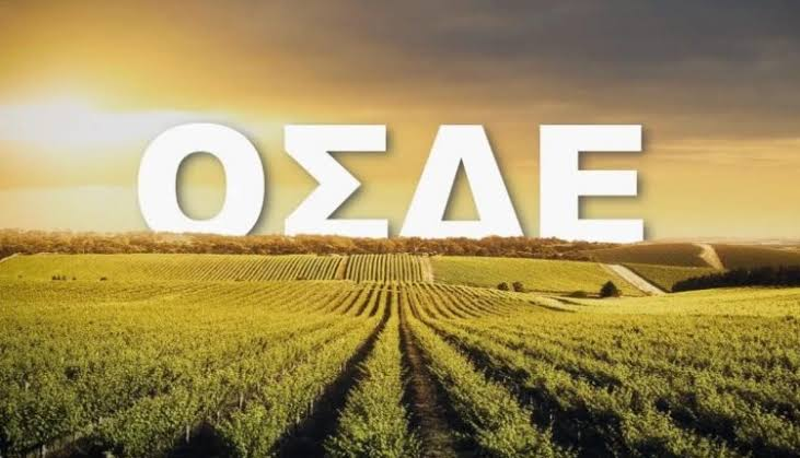 ΟΣΔΕ 2026: Χωρίς νέα εγγραφή στο ΜΑΑΕ οι δηλώσεις των αγροτών – Τι αλλάζει από το 2027